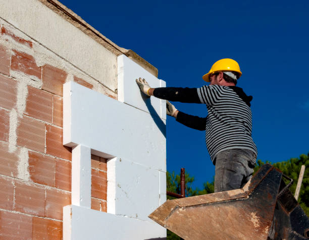 Best Crawl Space Insulation  in Osceola, WI