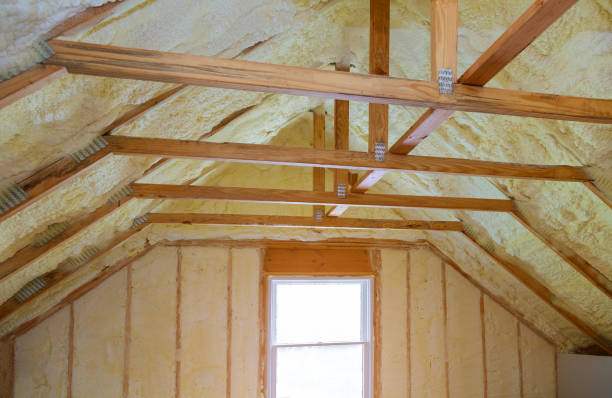 Best Professional Insulation Contractor  in Osceola, WI