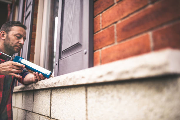 Best Wall Insulation Contractor  in Osceola, WI