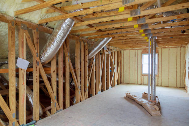 Best Energy-efficient Insulation  in Osceola, WI