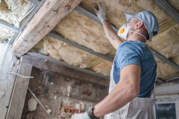 Best Attic Insulation Installation  in Osceola, WI