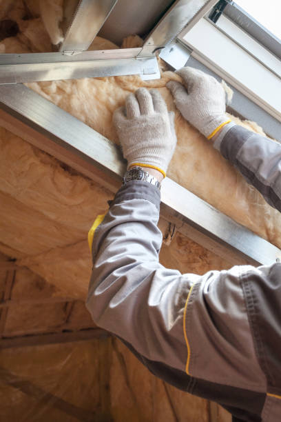 Best Insulation Removal  in Osceola, WI
