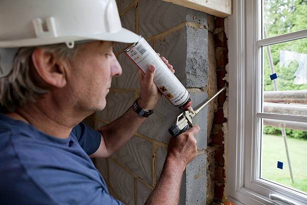 Best Best Insulation Companies  in Osceola, WI