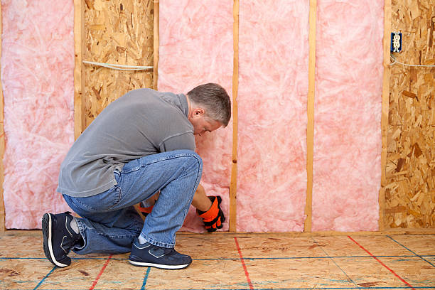 Best Insulation Repair Services  in Osceola, WI