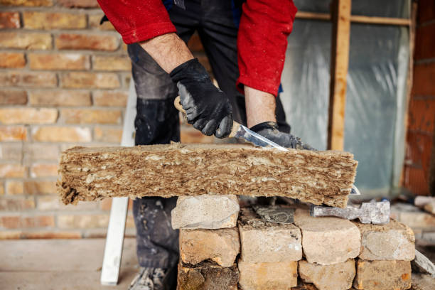 Best Insulation Replacement Services  in Osceola, WI