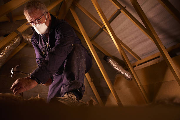 Best Spray Foam Insulation  in Osceola, WI